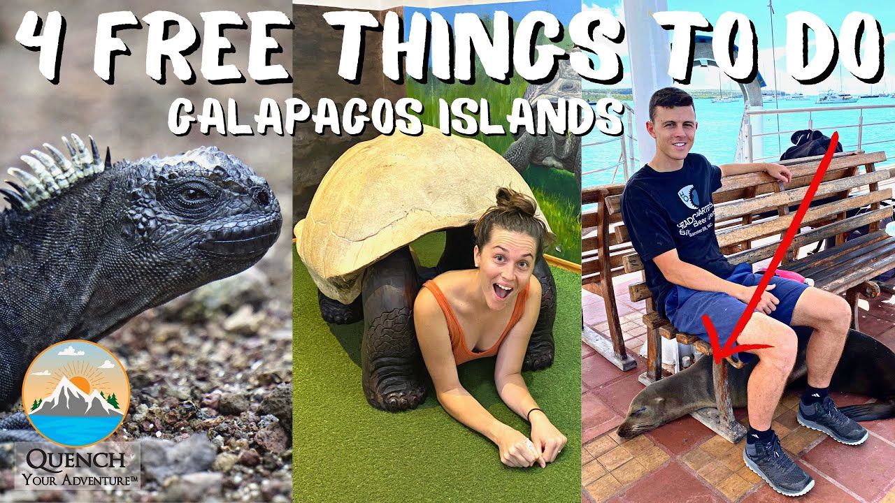 4 FREE THINGS TO DO | Santa Cruz Island, Galapagos, Ecuador - Travel Guide & Vlog