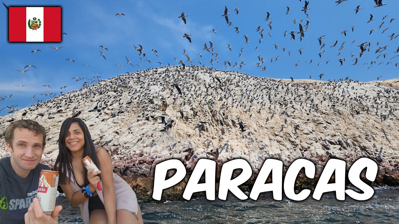 Day Trip to PARACAS - Travel Guide and Video Tour - Peru 🇵🇪