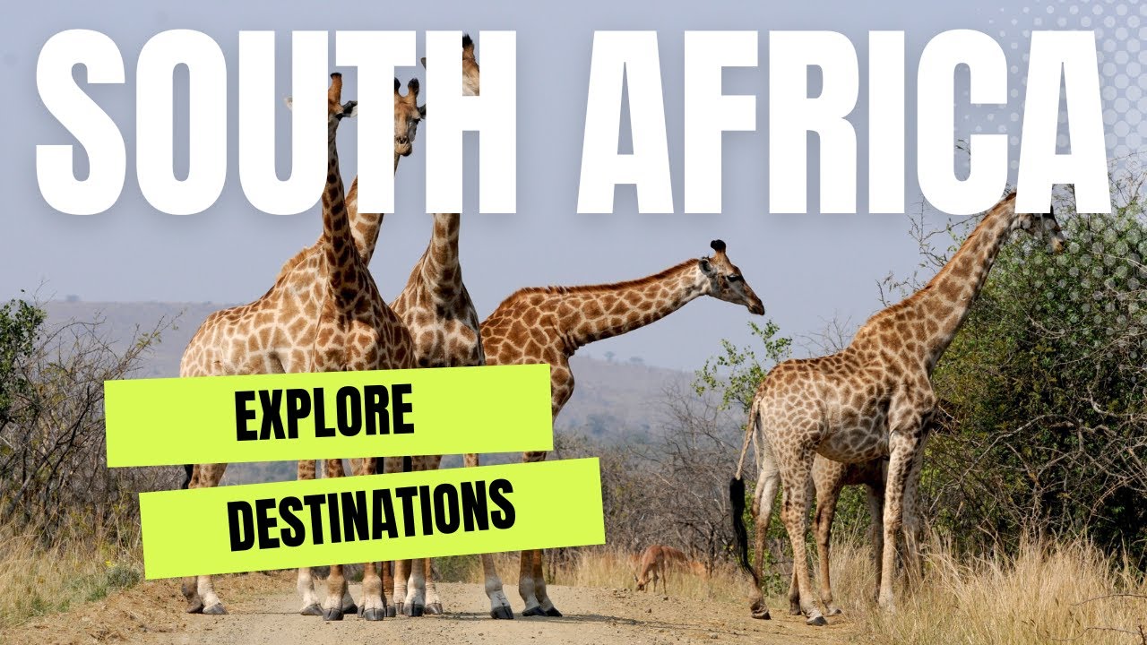 Explore South Africa's Top 10 Must-See Destinations - The Ultimate Travel Guide