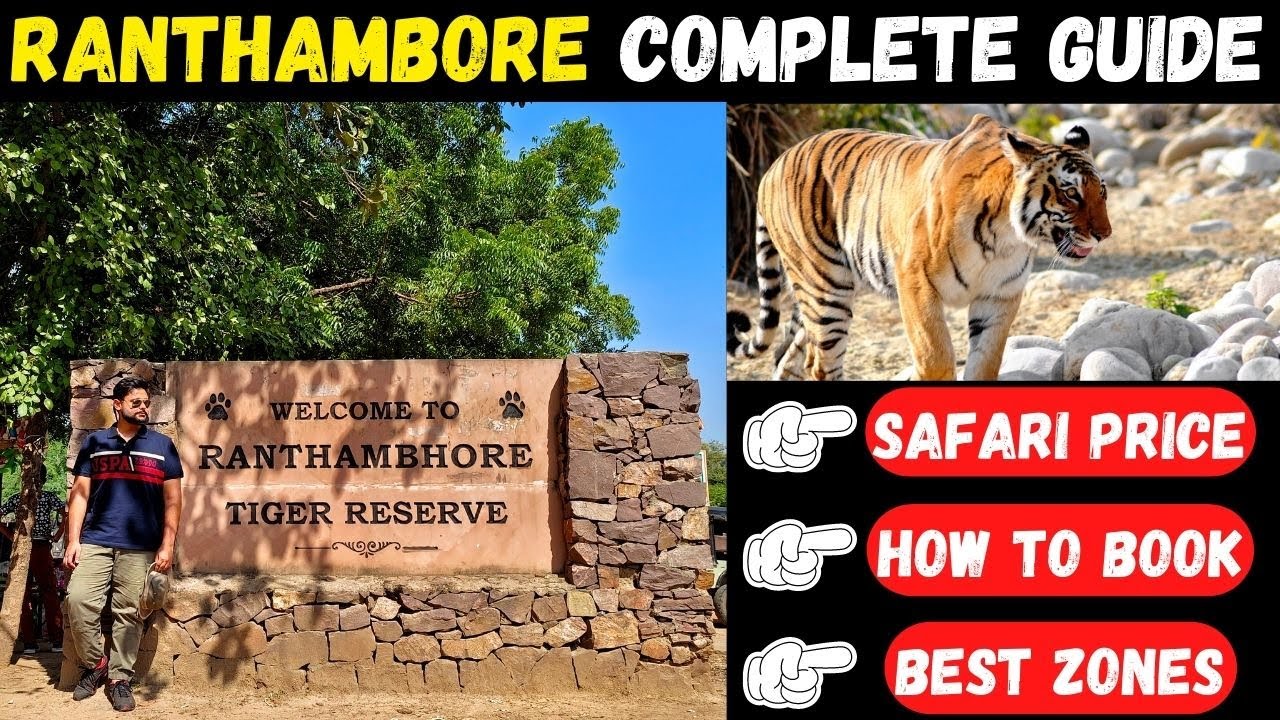 Ranthambore National Park Budget Travel Guide | How to book | Safari price | Best Zones